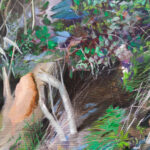 ALICE SURET-CANALE